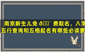 南京新生儿免 🌴 费取名，八字五行查询和五格起名有哪些必读要点 🦋